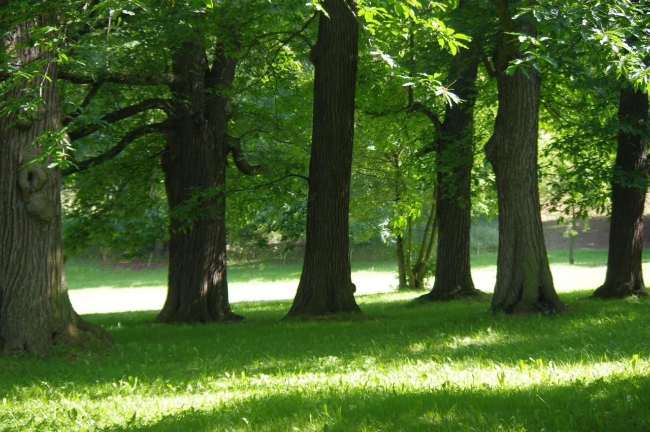 Feriendomizil Schlossblick Blankenburg  Luaran gambar